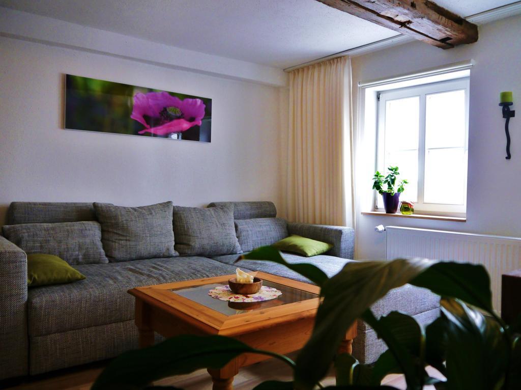 Haus-Wolter Apartment Goslar Cameră foto