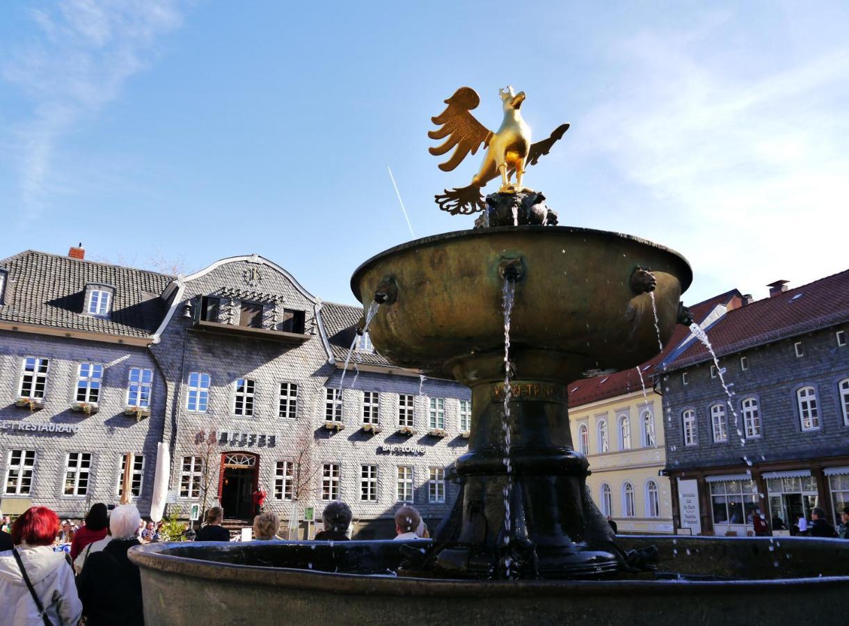 Haus-Wolter Apartment Goslar Exterior foto